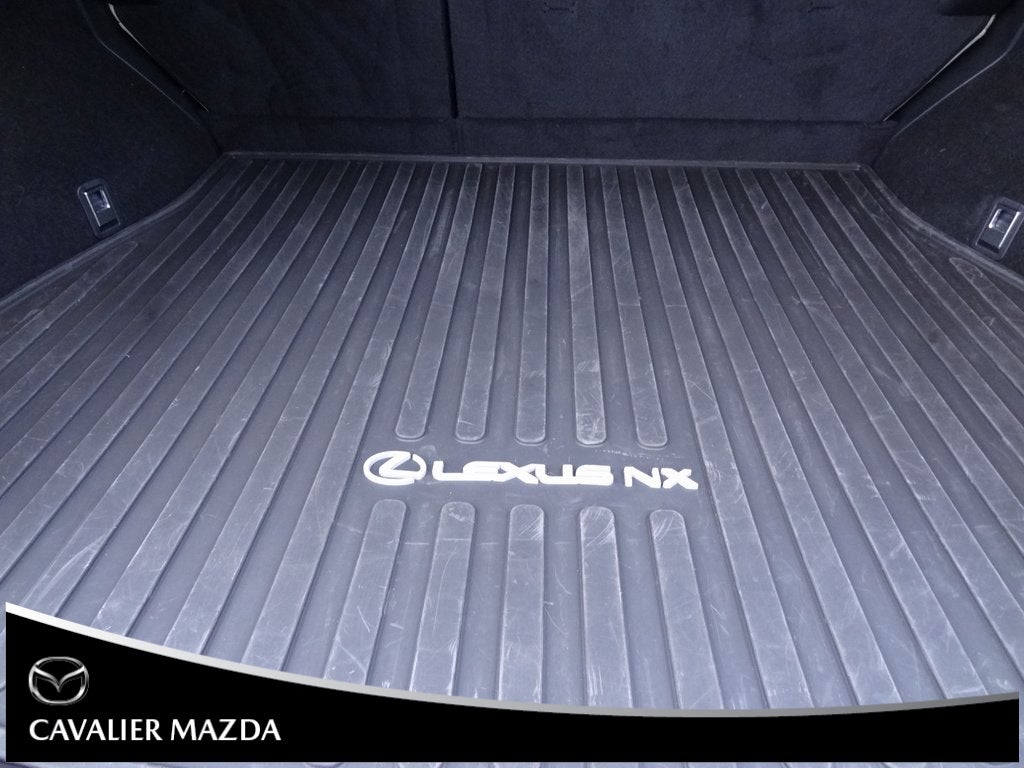 2023 Lexus NX 350 Premium