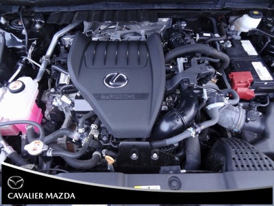 2023 Lexus NX 350 Premium