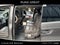 2011 Honda Odyssey Base