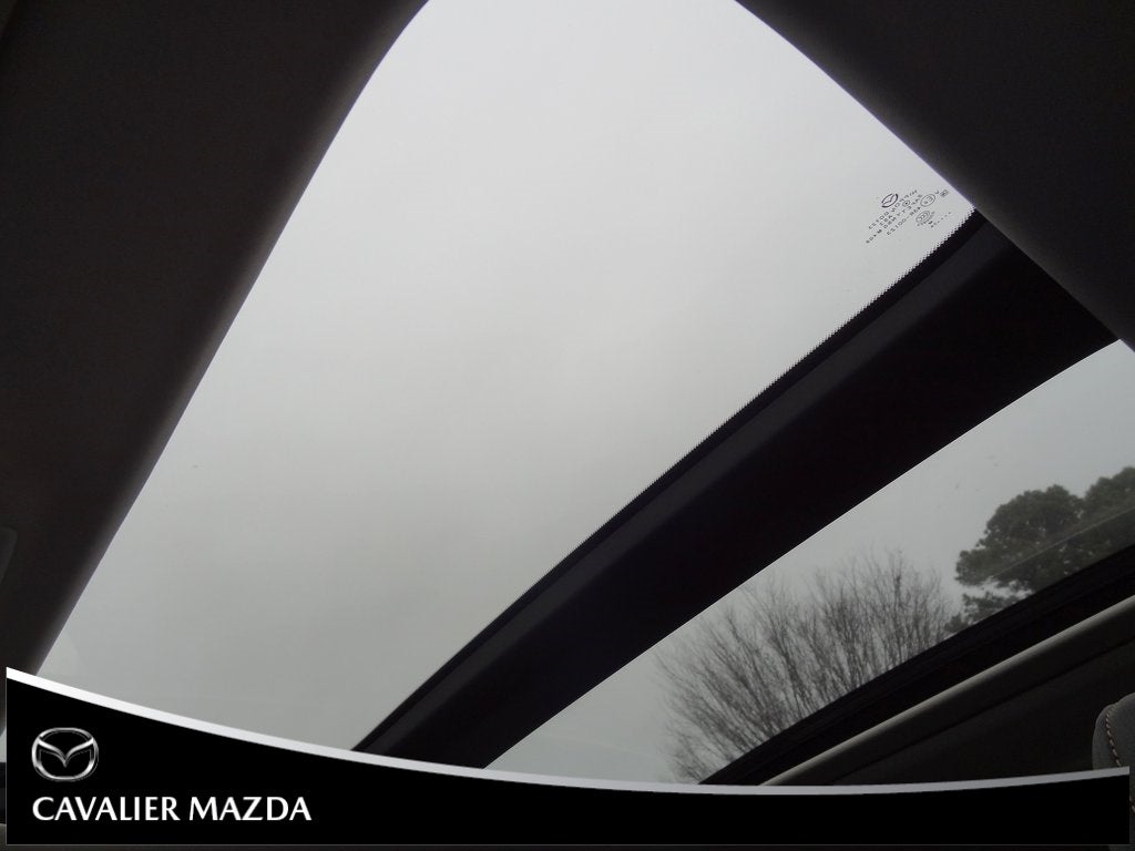 2025 Mazda Mazda CX-90 3.3 Turbo Premium