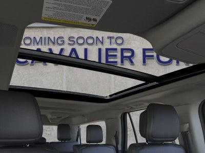 2026 Ford Expedition MAX Platinum®