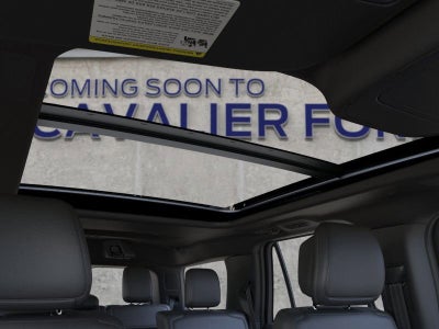 2026 Ford Expedition Platinum®