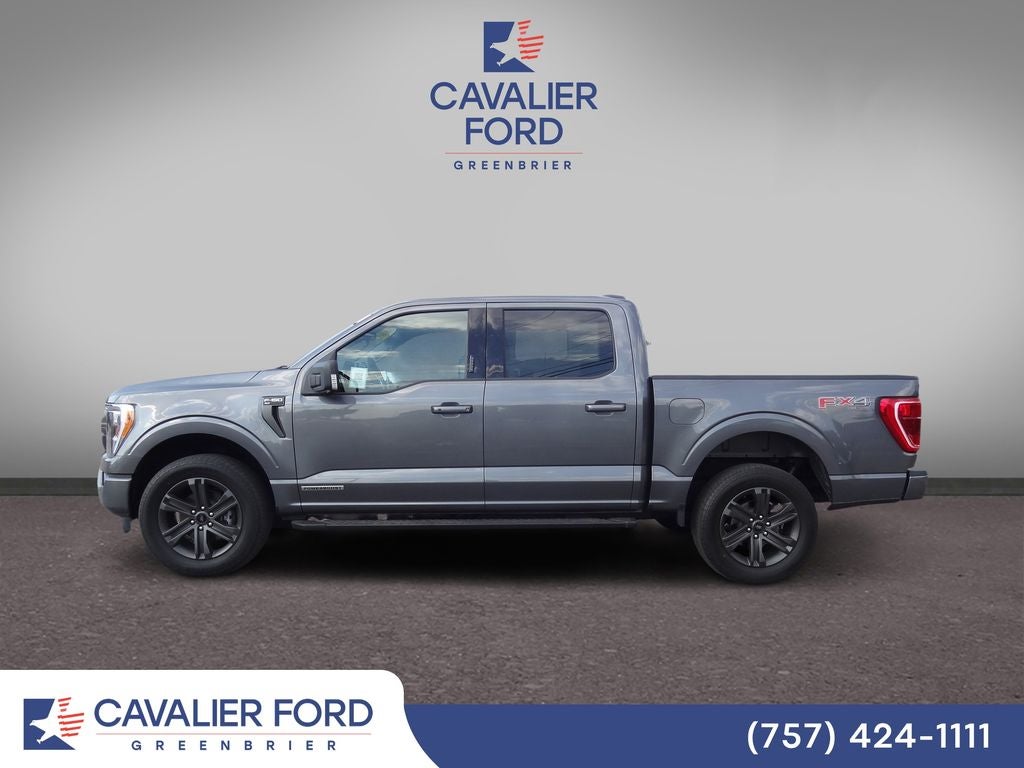 2023 Ford F-150 XLT