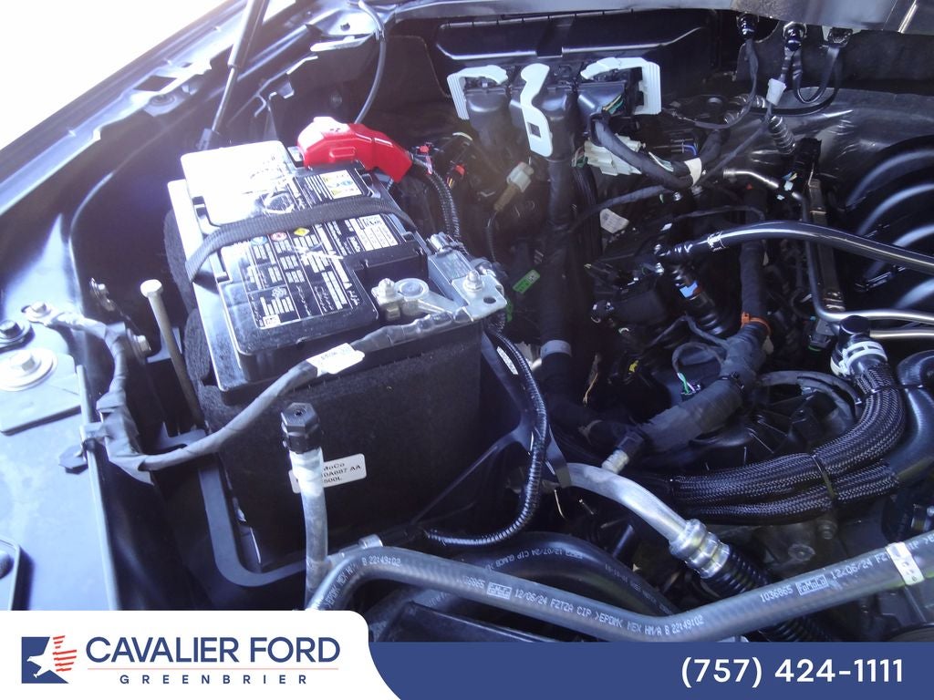 2025 Ford F-150 XL