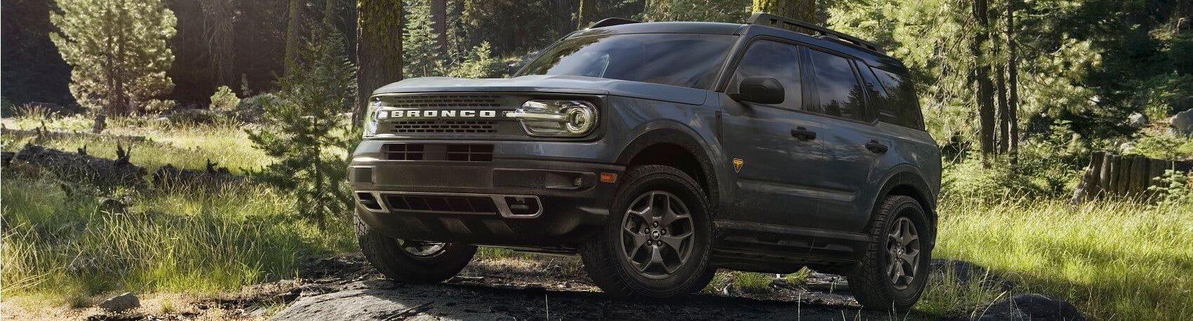 Ford Bronco in the Forest Snipped