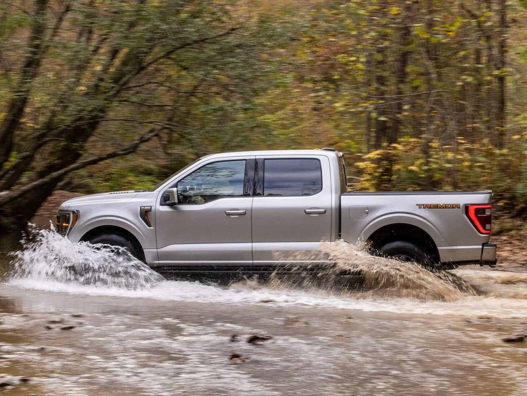 Used Ford F-150 for Sale near Virginia Beach VA
